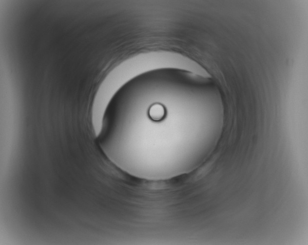 X0000113280384200910051045