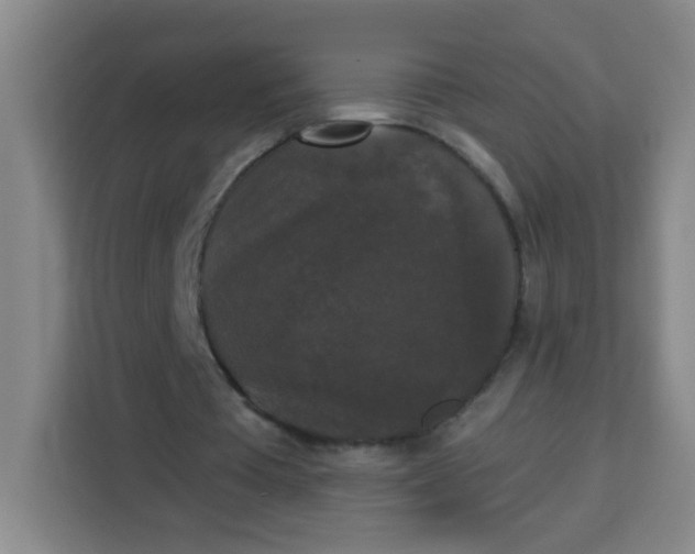 X0000113280385200910051045