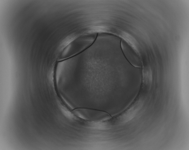 X0000113280389200910051044