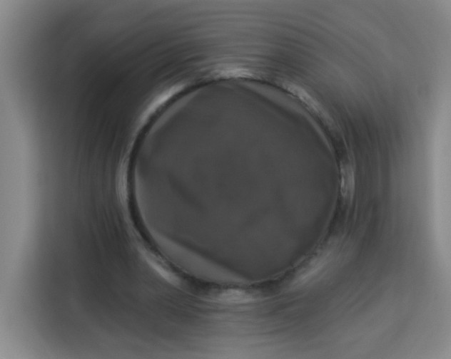 X0000113280390200910051044