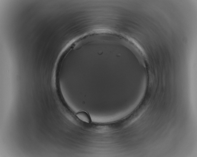 X0000113280391200910051044