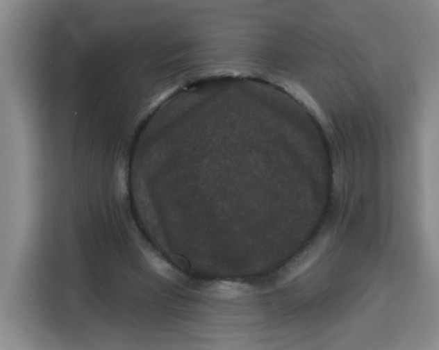 X0000113280393200910051044