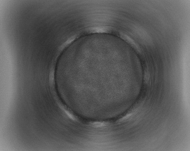 X0000113280394200910051044