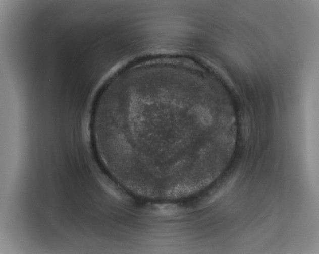 X0000113280395200910051044