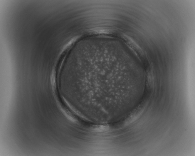 X0000113280398200910051044