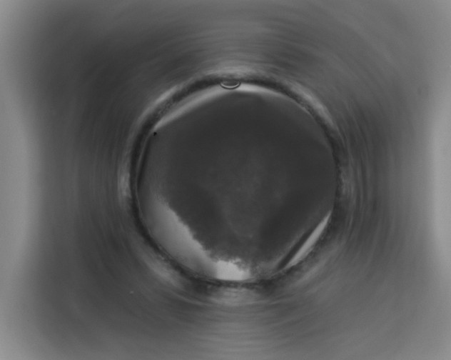 X0000113280399200910051044