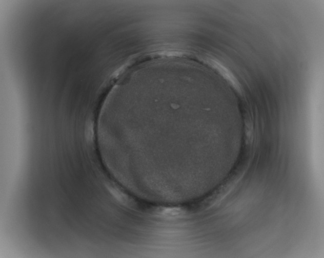 X0000113280401200910051044