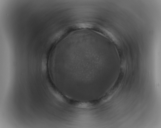 X0000113280402200910051044