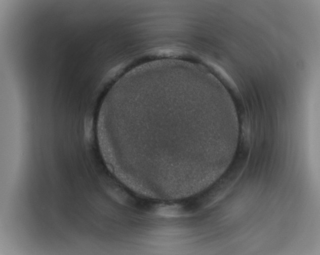 X0000113280403200910051044