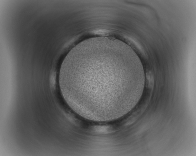 X0000113280404200910051044