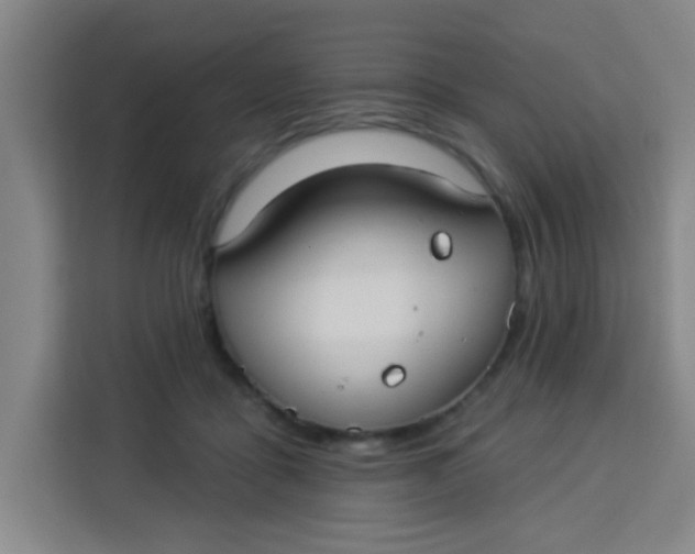 X0000113280411200910051044