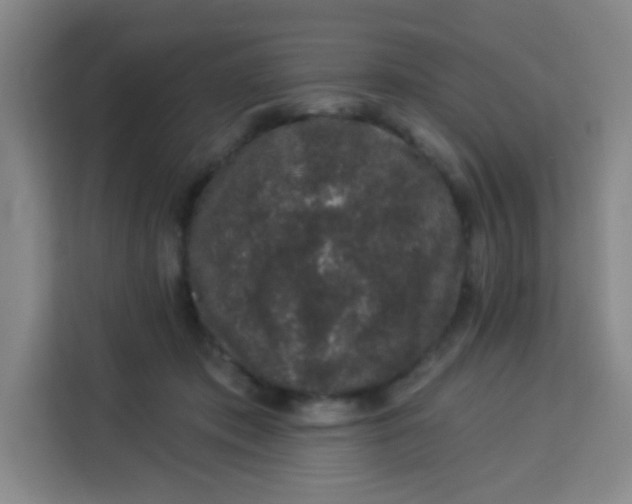 X0000113280413200910051044