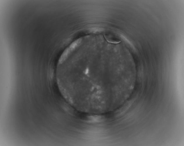 X0000113280417200910051044