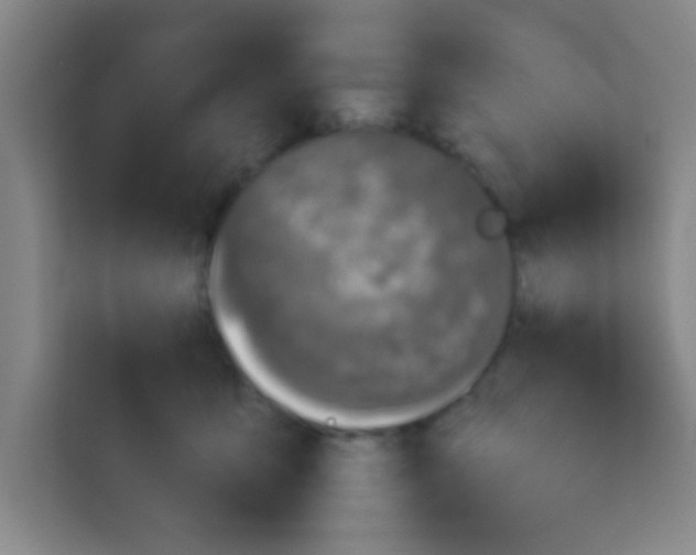 X0000113280419200910051044