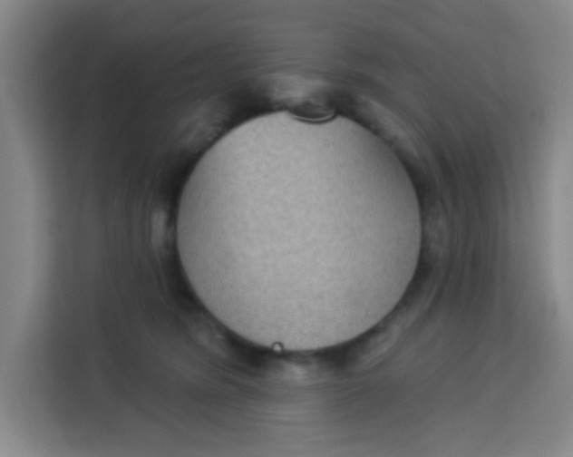 X0000113280420200910051044