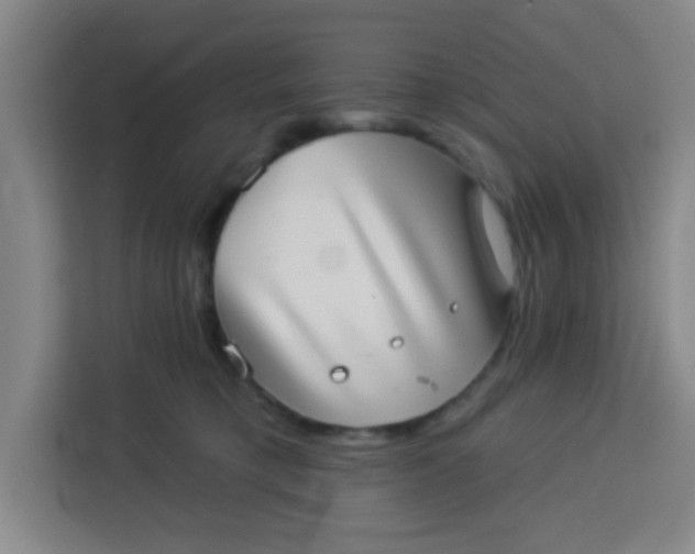 X0000113280421200910051044