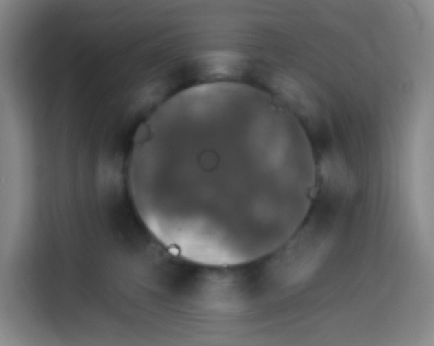 X0000113280423200910051044