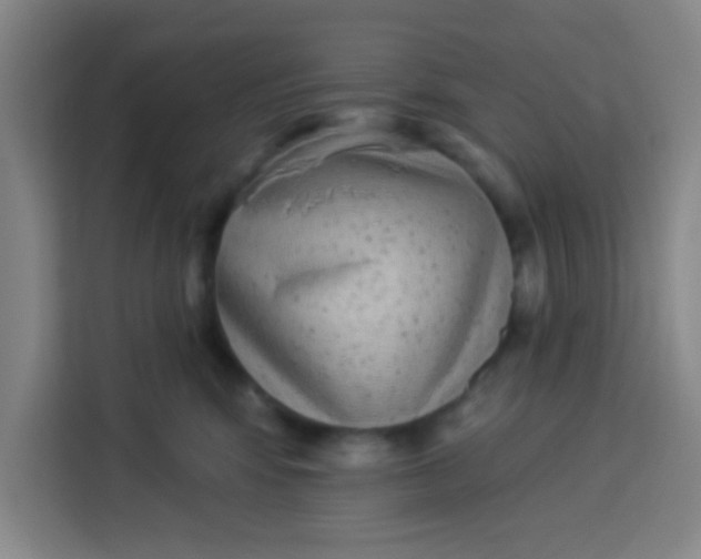 X0000113280424200910051044