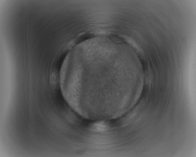 X0000113280425200910051044