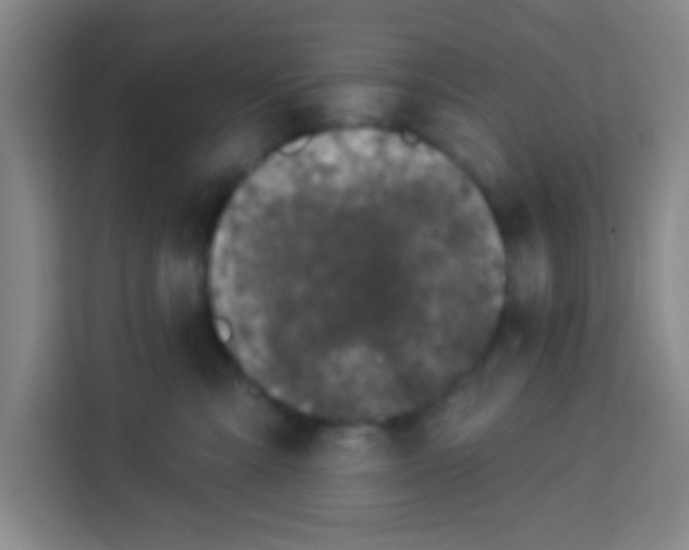 X0000113280427200910051044