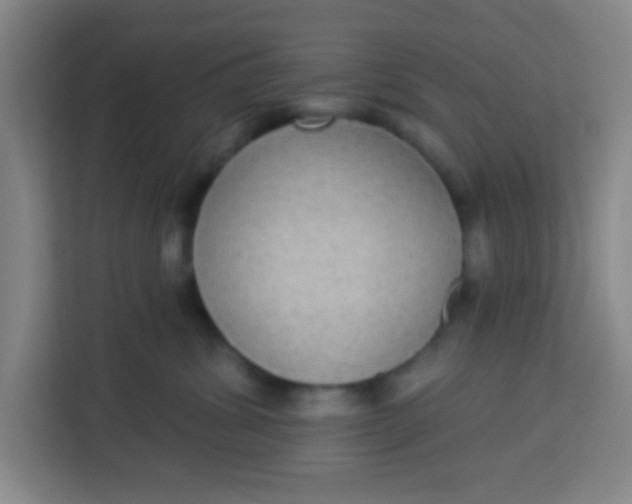 X0000113280428200910051044