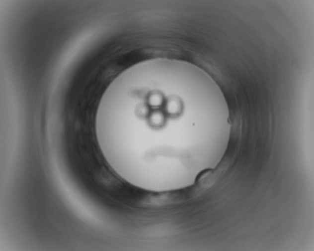 X0000113280430200910051044