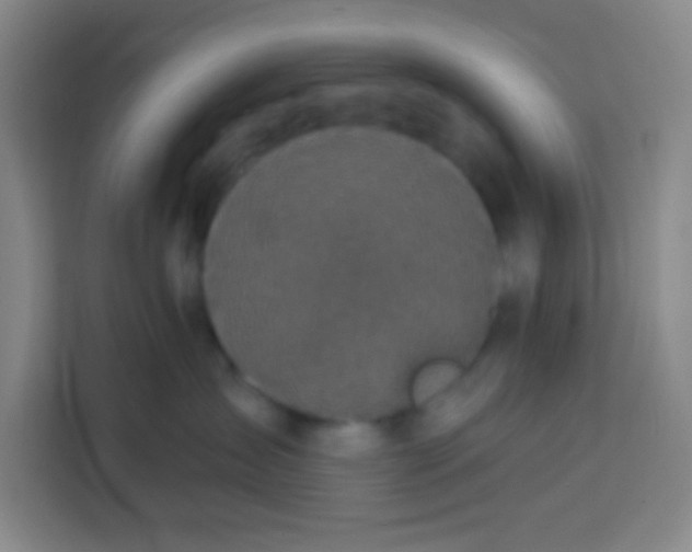 X0000113280431200910051044