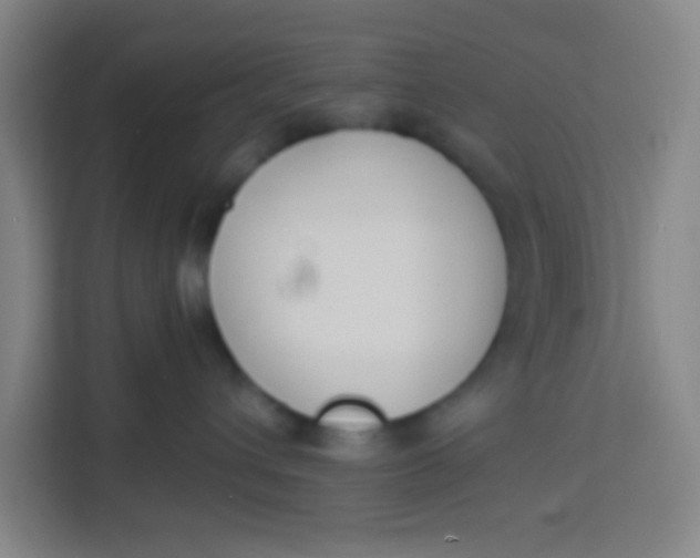 X0000113280432200910051044