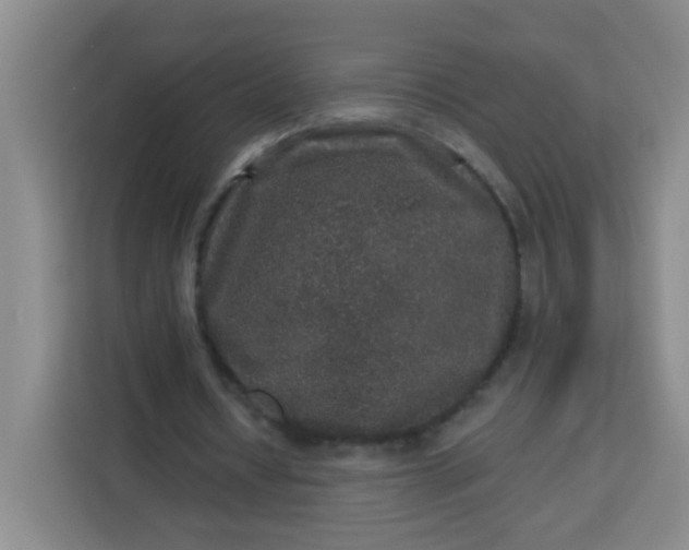 X0000113280434200910051043