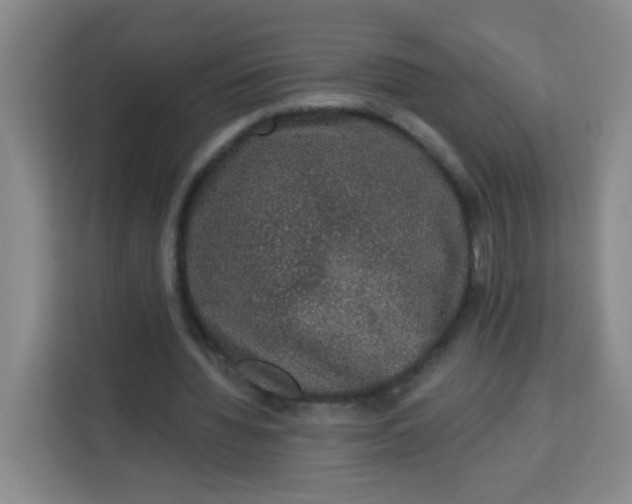 X0000113280436200910051043