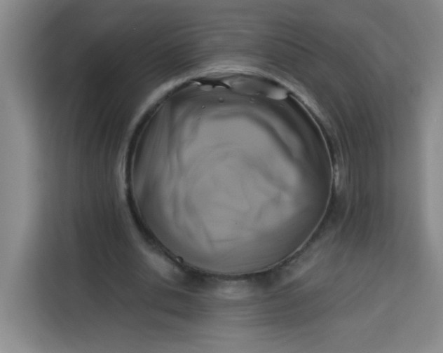 X0000113280438200910051043