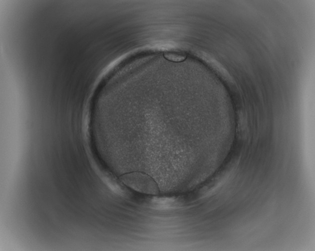 X0000113280440200910051043