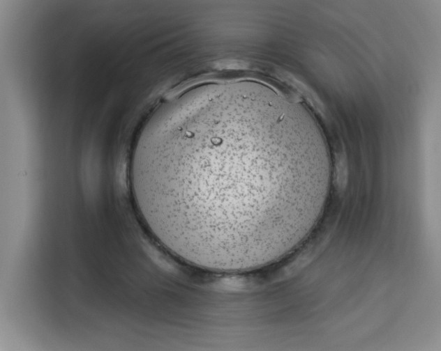 X0000113280441200910051043