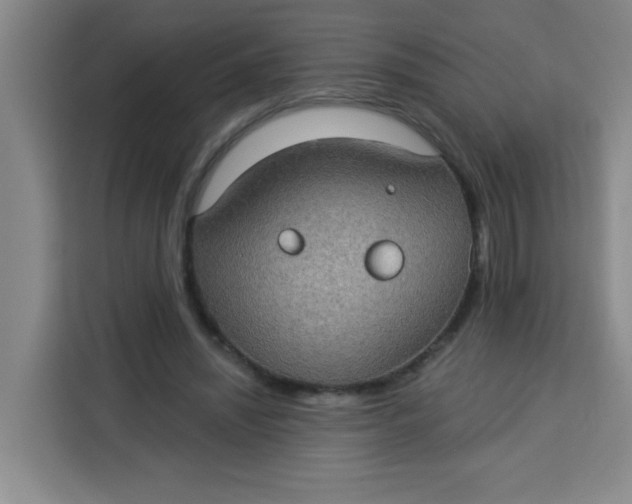 X0000113280444200910051043