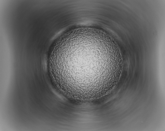 X0000113280446200910051043