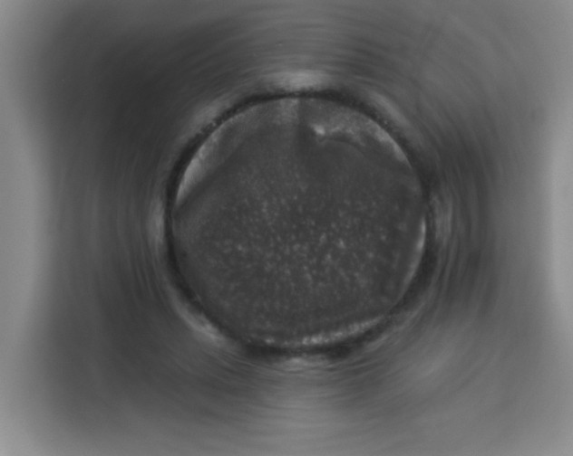 X0000113280447200910051043