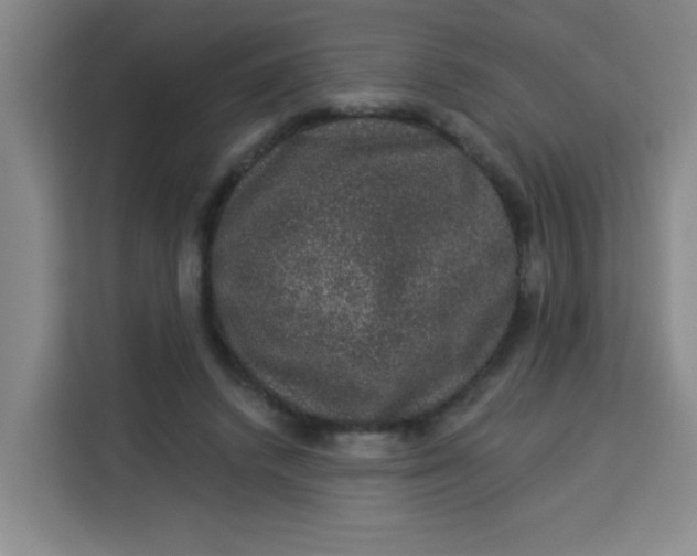 X0000113280448200910051043