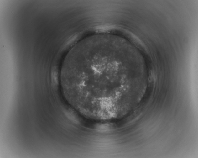 X0000113280452200910051044