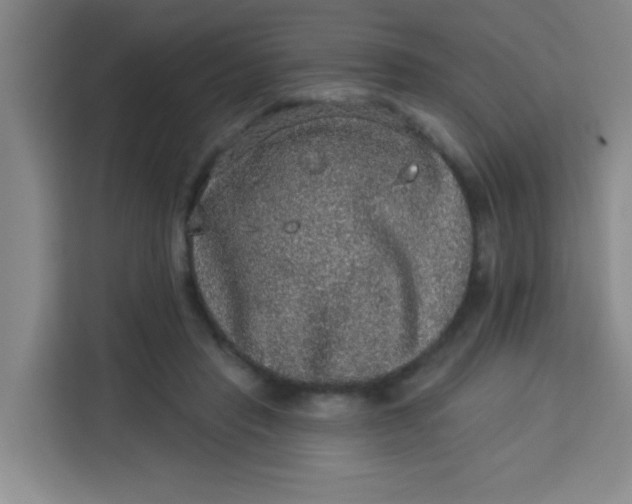 X0000113280453200910051044