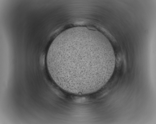 X0000113280454200910051044