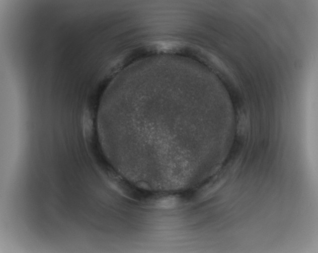 X0000113280456200910051044