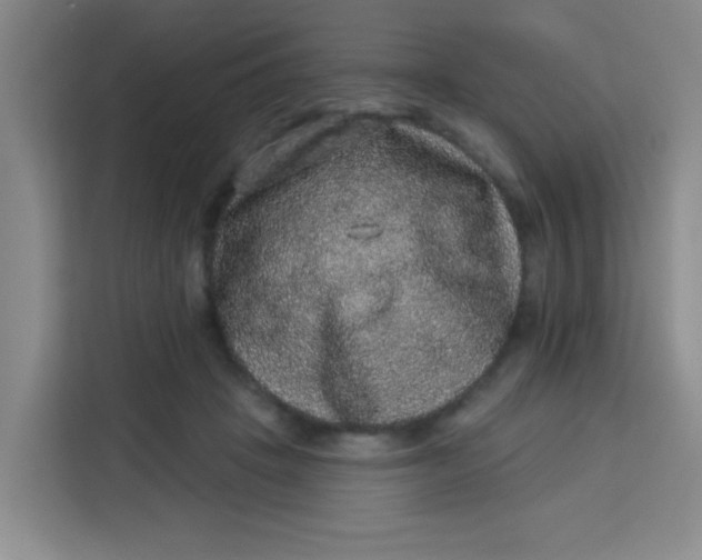 X0000113280457200910051044