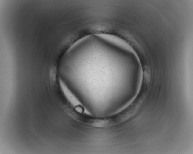 X0000113280458200910051044