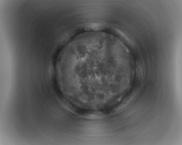 X0000113280459200910051044