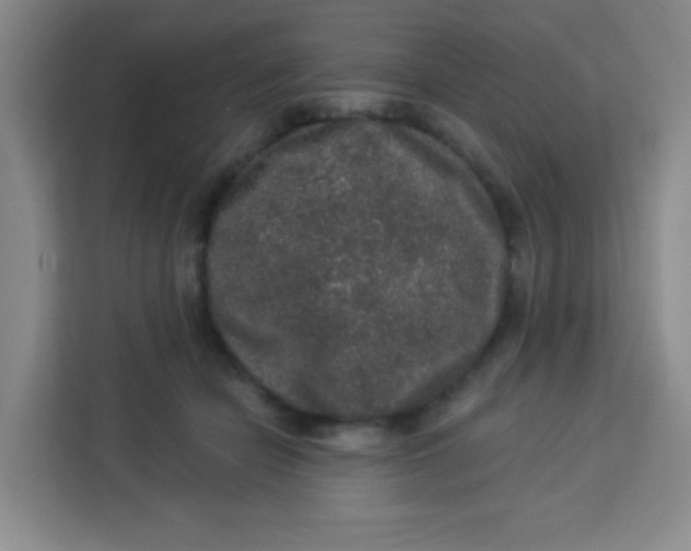 X0000113280462200910051044