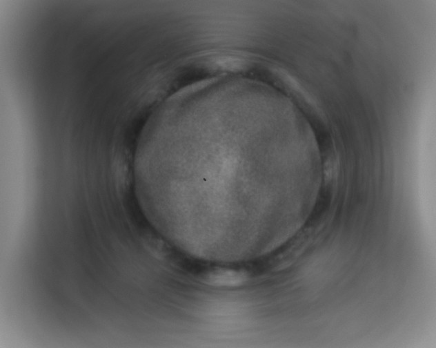 X0000113280464200910051044