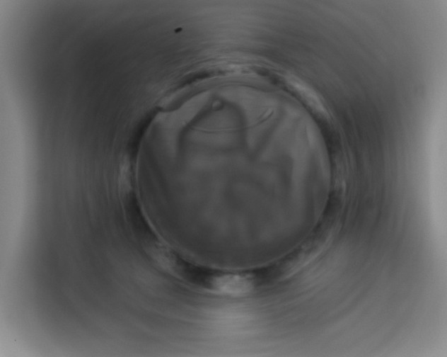 X0000113280465200910051044