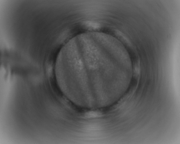 X0000113280468200910051044