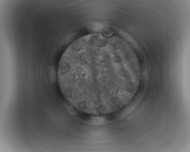 X0000113280469200910051044