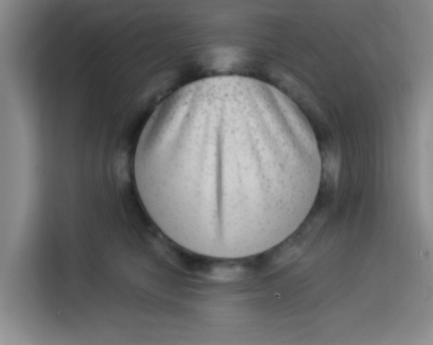 X0000113280470200910051044